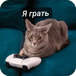 🐱 emoji Хуйня максіма Telegram sticker 13 of 94