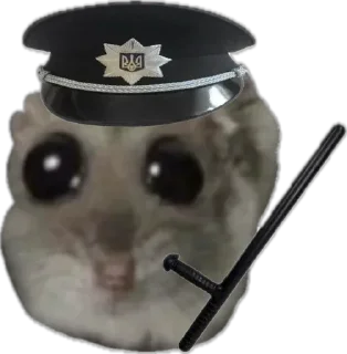 👮‍♂️ emoji сумна миша Telegram sticker 14 of 44