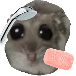 🚿 emoji сумна миша Telegram sticker 24 of 44