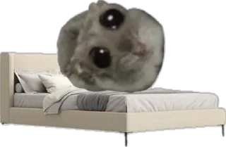 🛏️ emoji сумна миша Telegram sticker 23 of 44