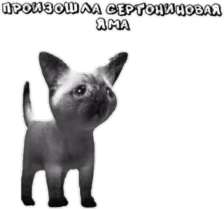 🥲 emoji TRIP CHAT STICKERS PACK 2 Telegram sticker 22 of 37