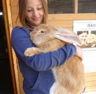 🌟 emoji 🤍 Telegram sticker 9 of 21