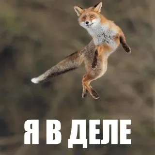 🙂 emoji ЖЮ 🧡 Видео НГ @lifeyt Telegram sticker 10 of 89