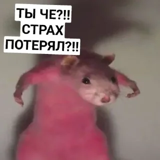 Sticker from ЛютыеНорм