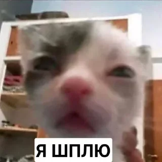☺️ emoji ЛютыеНорм Telegram sticker 23 of 92