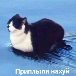 Sticker from Могу позволить