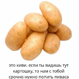 🍺 emoji Для заи и солнце Telegram sticker 15 of 44