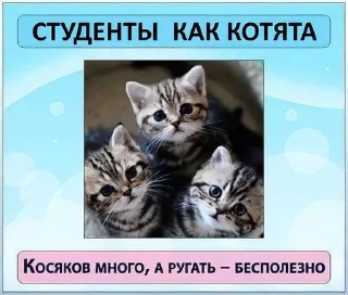 Sticker from студентокоты