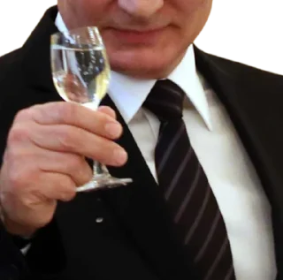 🍾 emoji Такой Разный Владим Владимыч Telegram sticker 10 of 79
