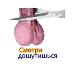 Sticker from samofashka