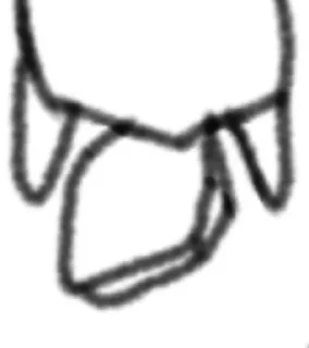 🌟 emoji ПЕБЕЛ МЛАДШИЙ Telegram sticker 6 of 48