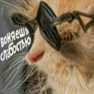 🐱 emoji Distortion (@CTuKOCbl) Telegram sticker 15 of 56