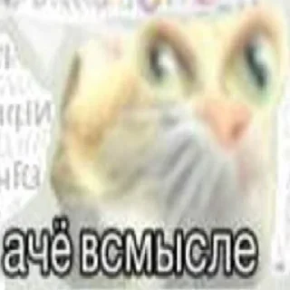 😯 emoji Distortion (@CTuKOCbl) Telegram sticker 16 of 56