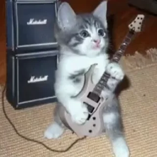 🎸 emoji hxllikitty Telegram sticker 24 of 68