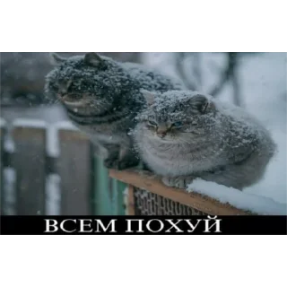 ☝️ emoji Высрал Telegram sticker 24 of 74