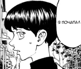 Sticker from кот в ушанке
