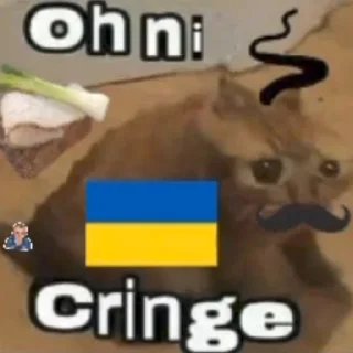 😳 emoji Randomny meme (+sacabambaspis) Telegram sticker 6 of 118