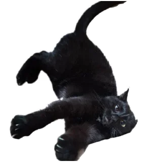 Sticker from Сусик