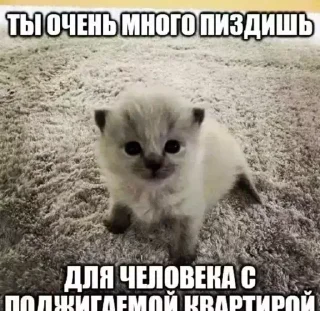 🙀 emoji БОЛЬШЕ ⇨ @CLOOBHUB МЕМЫ СТИКЕРЫ Telegram sticker 24 of 117