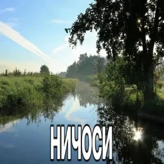 🤍 emoji няшки хуяшки Telegram sticker 14 of 44