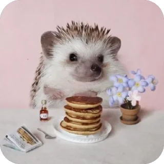 🥞 emoji Hedgehogs • @Earth928B Telegram sticker 11 of 50