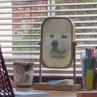🥸 emoji ЖЮ Видео 🧡 Фотопак | @Lifeyt Telegram sticker 5 of 37
