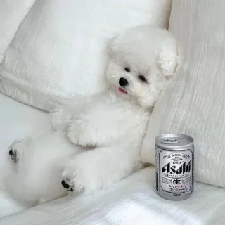 🛋 emoji ЖЮ Видео 🧡 Фотопак | @Lifeyt Telegram sticker 17 of 37