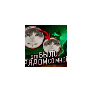 Sticker from Wawa cat