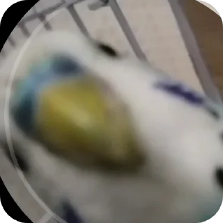 👍 emoji вася и лили Telegram sticker 3 of 10