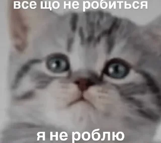🌟 emoji для особливо важливих перегово Telegram sticker 15 of 73