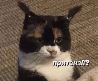 🌟 emoji для особливо важливих перегово Telegram sticker 17 of 73