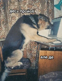 🌟 emoji для особливо важливих перегово Telegram sticker 21 of 73