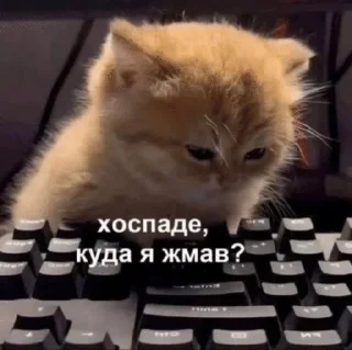 🌟 emoji для особливо важливих перегово Telegram sticker 10 of 73