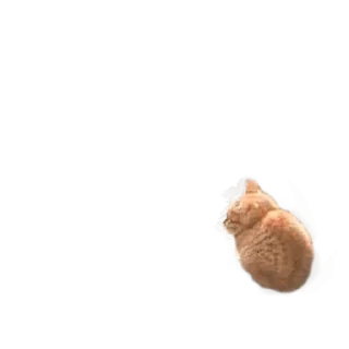 😞 emoji мікрочєлікі Telegram sticker 17 of 53