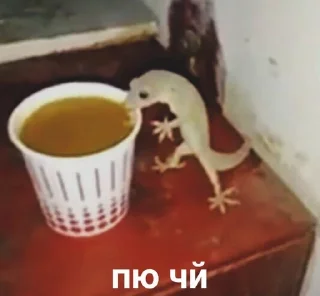 Sticker from рікітікітакі
