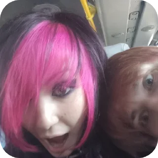 😨 emoji Няше4ка Telegram sticker 11 of 86