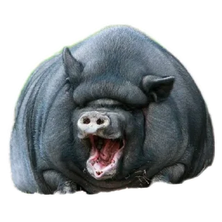 ❤ emoji Свинтуси👁️🐽👁️ Telegram sticker 23 of 31