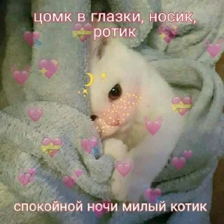 🛌 emoji mesm Telegram sticker 17 of 120