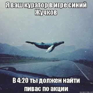 😅 emoji Киты))) Telegram sticker 2 of 8