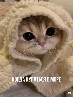 🌟 emoji Рома Telegram sticker 6 of 10