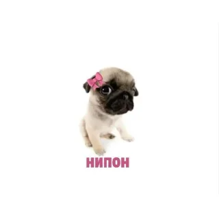 🎀 emoji (⁠≧⁠▽⁠≦⁠) Telegram sticker 21 of 45