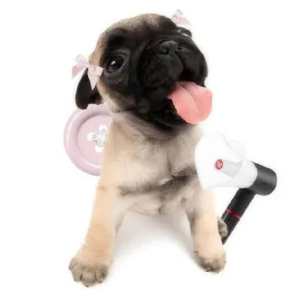 🎀 emoji (⁠≧⁠▽⁠≦⁠) Telegram sticker 22 of 45