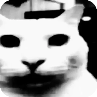 Sticker from The "😼" cat @SantaManches