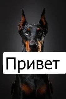 Sticker from Я не могу печатать)