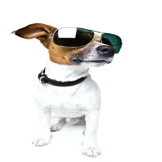 😎 emoji собака смешная не могу Telegram sticker 12 of 120