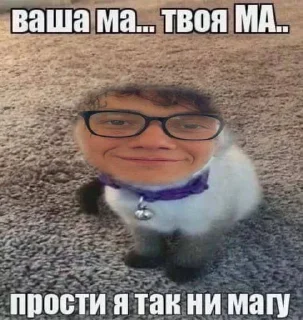 😭 emoji тдч на приколе Telegram sticker 12 of 14