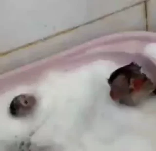🛁 emoji @EARTH928B <- БОЛЬШЕ Telegram sticker 17 of 52