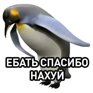 🐦 emoji Мемчанские для души Telegram sticker 19 of 119