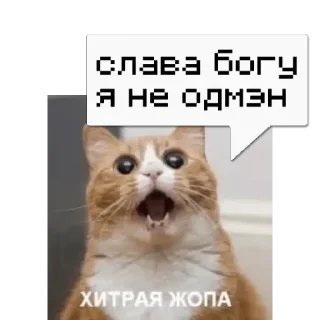 💬 emoji Виктор @memocyteBot Telegram sticker 15 of 41