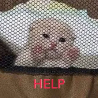 😩 emoji meowki^^ Telegram sticker 8 of 39